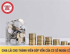 Chia Lợi Nhuận Cho Thành Viên Góp Vốn