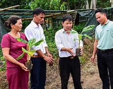 Công Tác Khuyến Nông