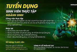 Cty Tasco Tuyển Dụng Thực Tập Sinh Tại Mỹ Đình Hà Nội Mới Nhất