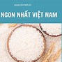 Gạo Nào Đắt Nhất Việt Nam