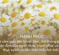 Phúc Khí Có Nghĩa Là Gì