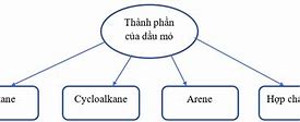 Thành Phần Hóa Học Của Đại Hoàng